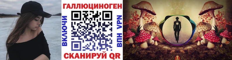 где продают наркотики  Северская  Псилоцибиновые грибы мухоморы 