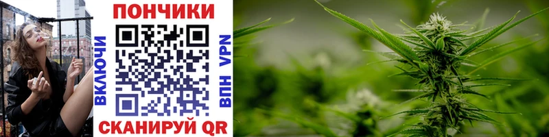 наркота  Северская  Канабис THC 21% 
